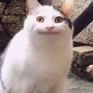 Meet your Posher, Aaron